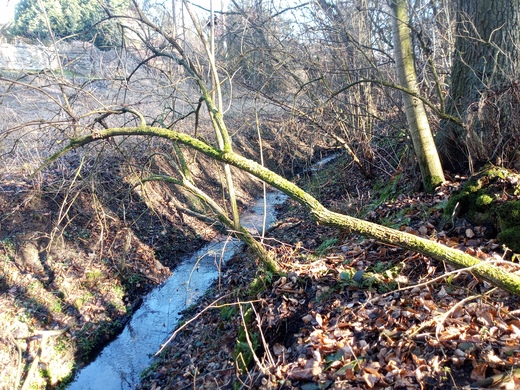 Foto potoka k revitalizaci